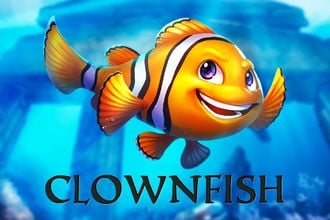 Clownfish