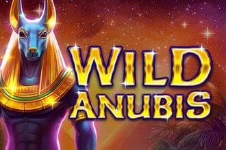 Wild Anubis