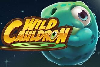 Wild Cauldron